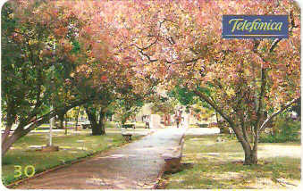 SP-0315M - São Carlos